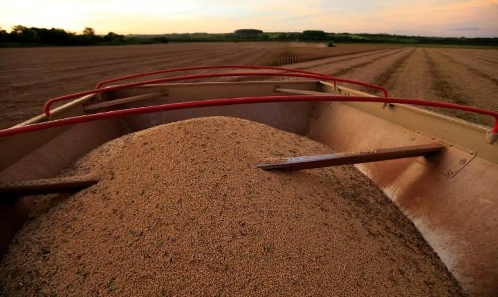 Adiantada, colheita de soja atinge 25,6% da área no Brasil