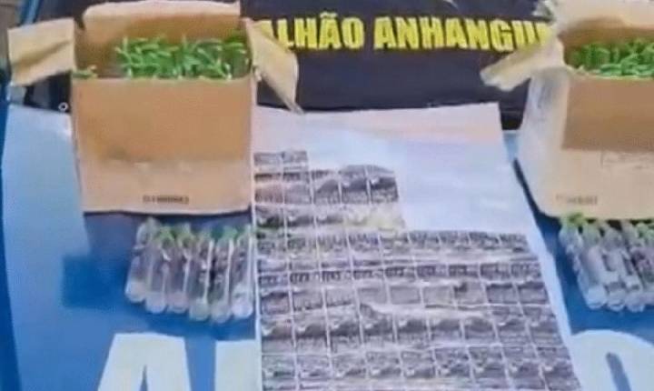 Adolescente chega do RJ com 105 lança-perfumes na rodoviária de Goiânia