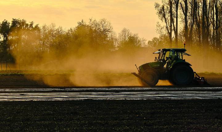 Amazônia: Brasil e Alemanha fazem cooperação para produção sustentável