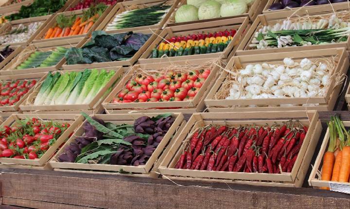 Aumenta participação de mulheres na agricultura familiar