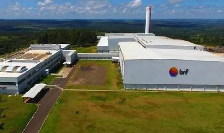 Avicultores de Mineiros anunciam paralisação dos alojamentos em protesto contra a BRF