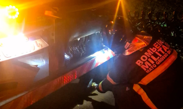Bombeiros controlam princípio de incêndio em carreta carregada com bezerros em Chapadão do Sul