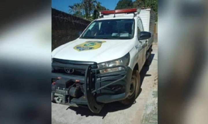 Cachorro descobre ossada humana e leva parte para casa do dono em Anápolis