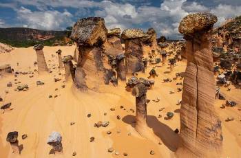 Galeria de Imagem