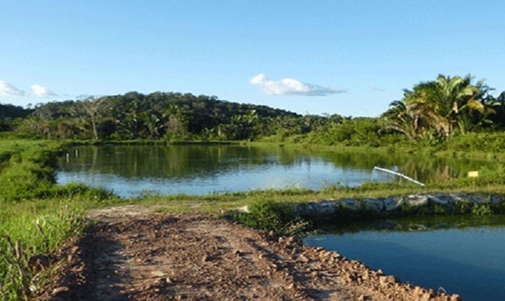 Criança de 1 ano e 10 meses morre afogada em tanque de peixes na zona rural de Chapadão do Sul