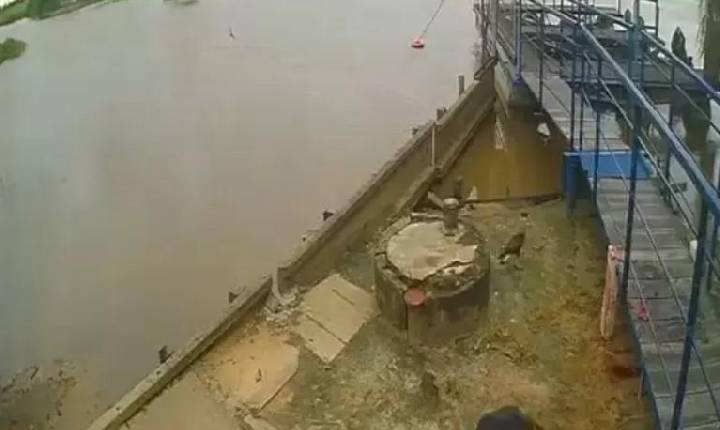 Cunhado encontra corpo de caseiro atacado por onça no Pantanal de MS