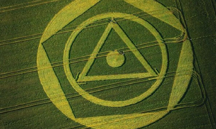 Desenho misterioso aparece em plantação de trigo no Brasil