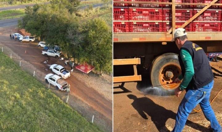 Fazenda com mais de 100 aves mortas por gripe aviária é embargada no interior de Goiás