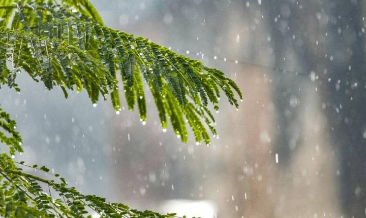 Frente fria pode trazer chuva para Goiás na quinta-feira