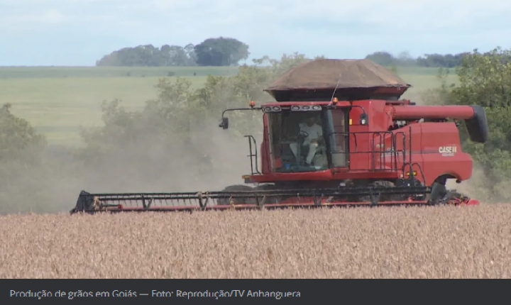 Goiás passa a ser o terceiro maior produtor de grãos do país, diz IBGE