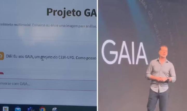 Google adota inteligência artificial em português desenvolvida por pesquisadores goianos