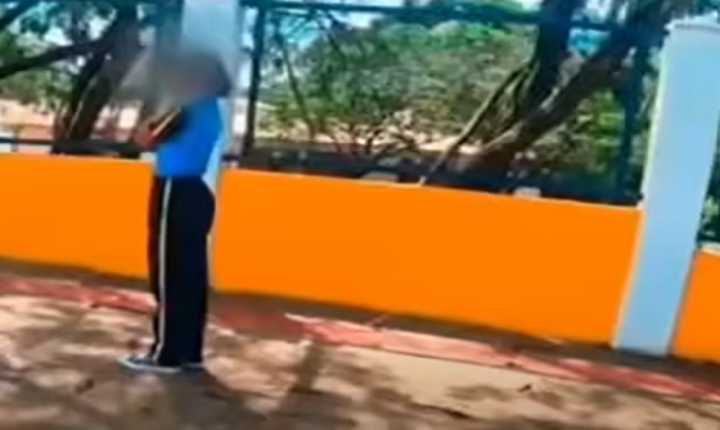 Motoboy enfrenta enxame e resgata menina de 12 anos durante ataque de abelhas em MG