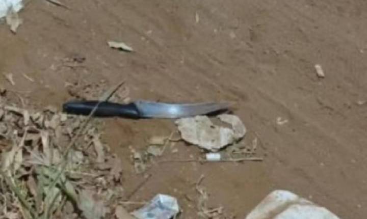 Mulher é presa suspeita de matar homem que teria roubado o cachorro dela