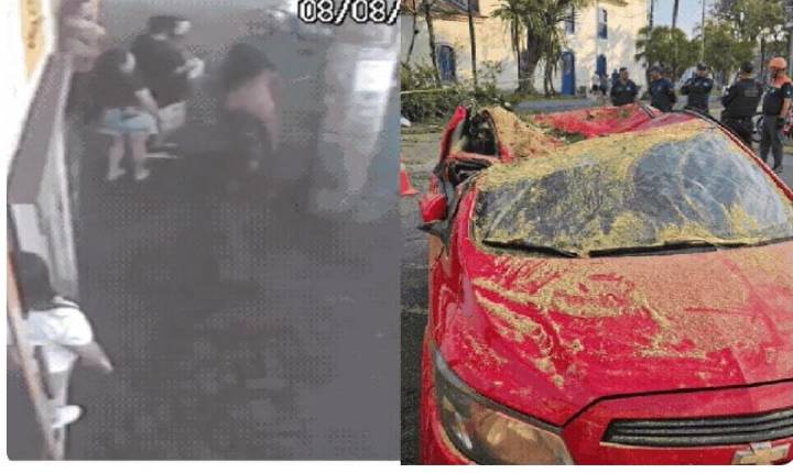 Mulher se desespera ao ver carro esmagado por árvore com marido e filho dentro: 'Passa tudo pela cabeça'