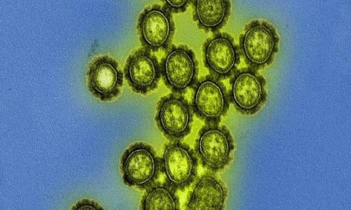 O que se sabe sobre o vírus influenza H3N2 que circula no Brasil