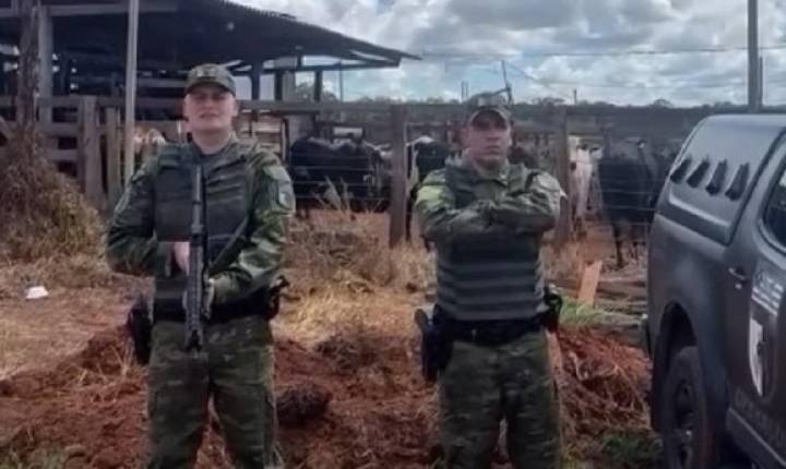 Polícia apreende 900 cabeças confinadas de forma ilegal em Pires do Rio