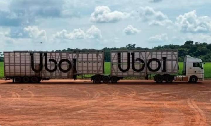 'Uber do Boi': veja aposta da JBS que já transportou cerca de 9 milhões de animais