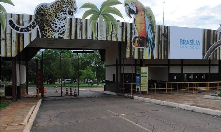 Zoológico de Brasília fecha por suspeita de gripe aviária