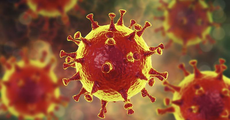 Colapso em MS: Já faltam sedativos e antibióticos para pacientes com covid no HR