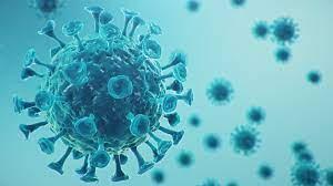Variante brasileira mais contagiosa da Covid-19 predomina entre os casos positivos de Goiânia, diz secretário