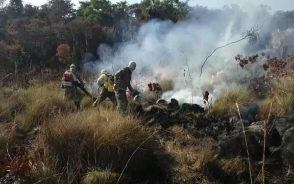 Incêndio no Parque Nacional das Emas é controlado após atingir quase 28 mil hectares, diz diretor