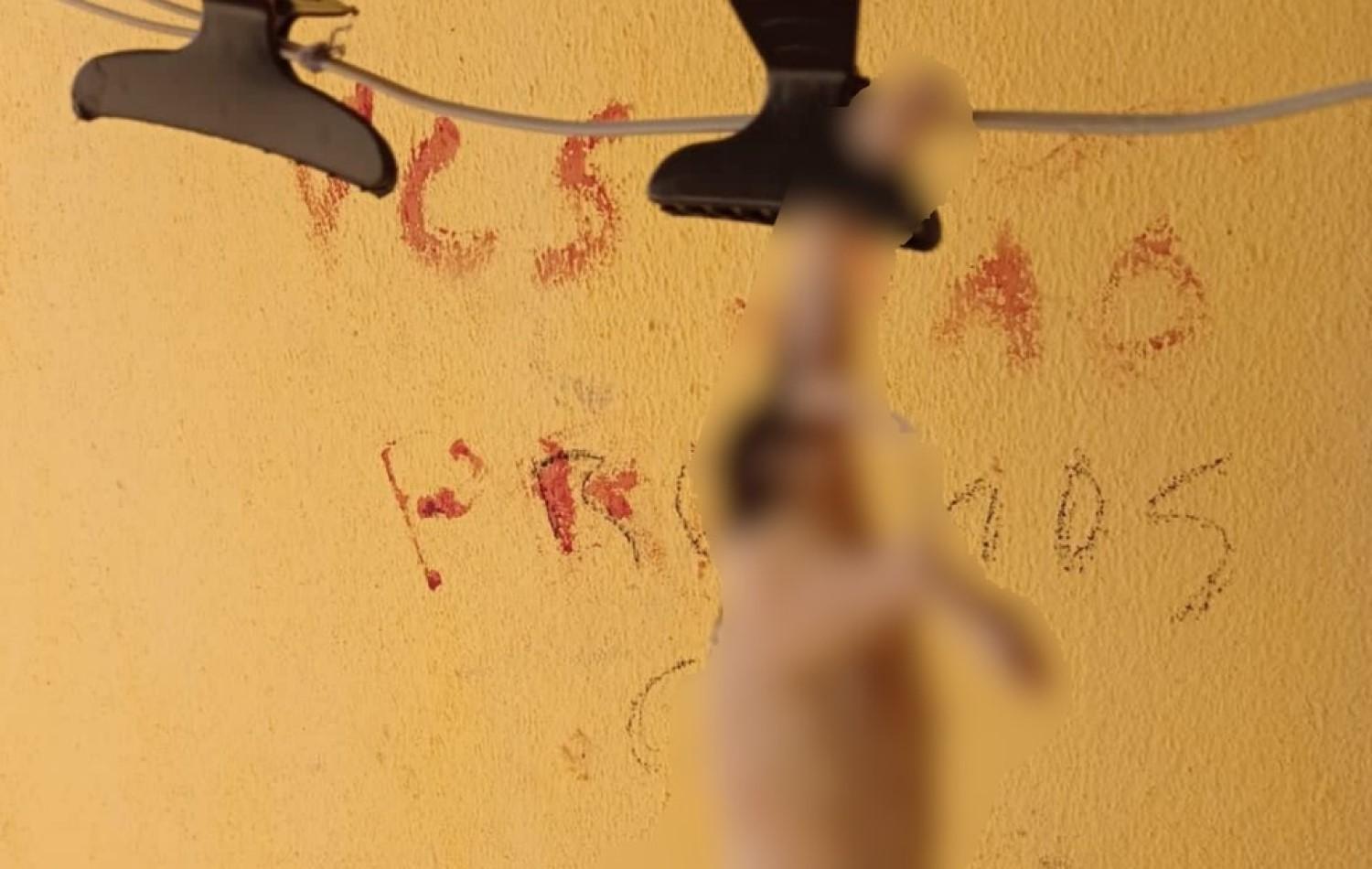 Homem é preso suspeito de pular muro da vizinha, matar cachorros dela e escrever com sangue dos animais: