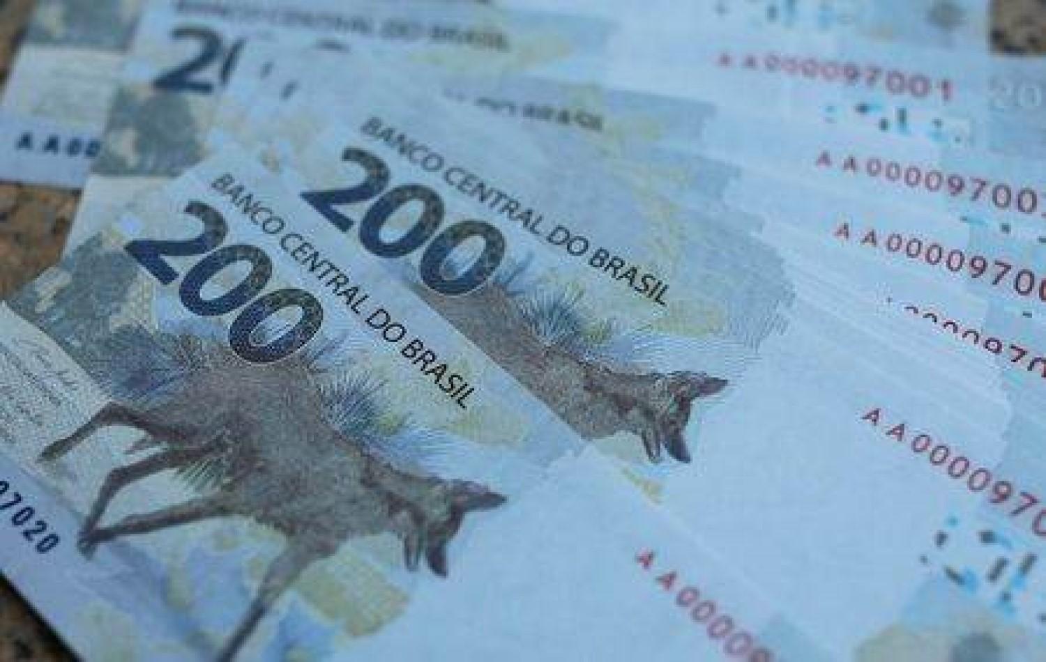 Nota de R$ 200: um ano depois do lançamento, lobo-guará está “desaparecido”