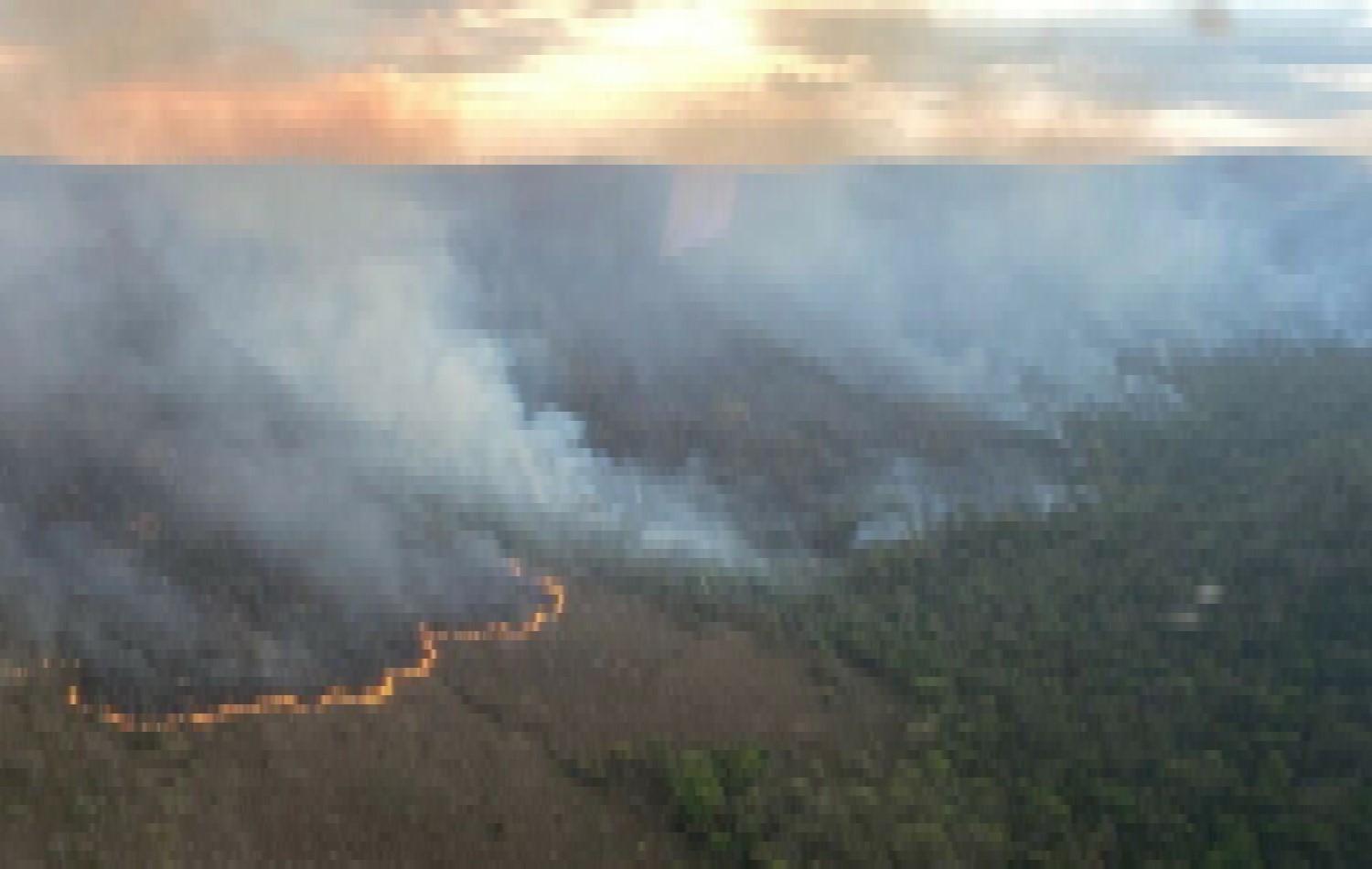 Uma só pessoa foi responsável por 50% da área destruída por incêndio na Chapada dos Veadeiros