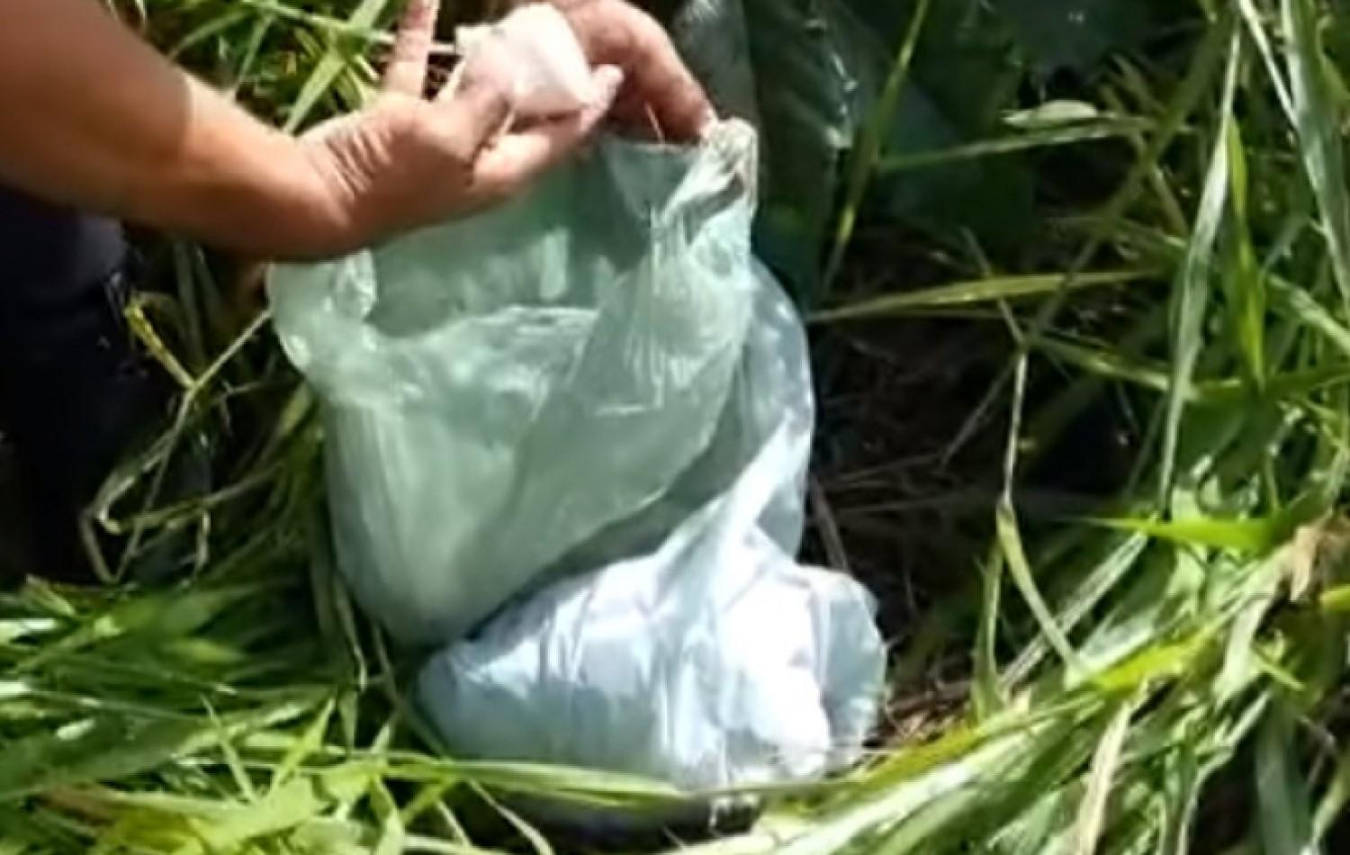 CPE DO 14º CRPM aprende menor com porções de maconha que seriam arremessadas no interior do presídio de Jataí