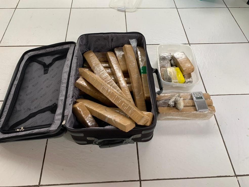 COD prende mulher com malas carregadas de drogas na região Sudoeste