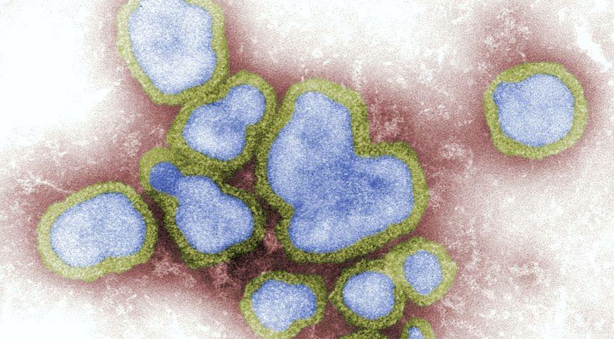 Onze estados registram mortes pela variante H3N2 da influenza