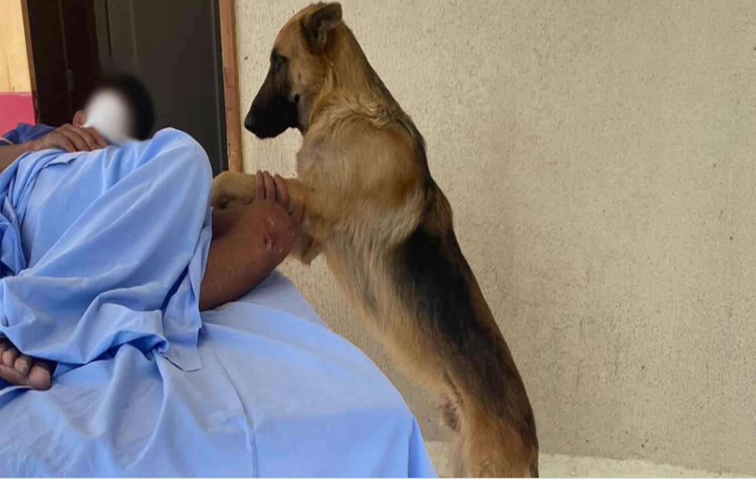 Amigo fiel: cão acompanha dono à UPA de Mineiros (GO) e espera ele receber alta
