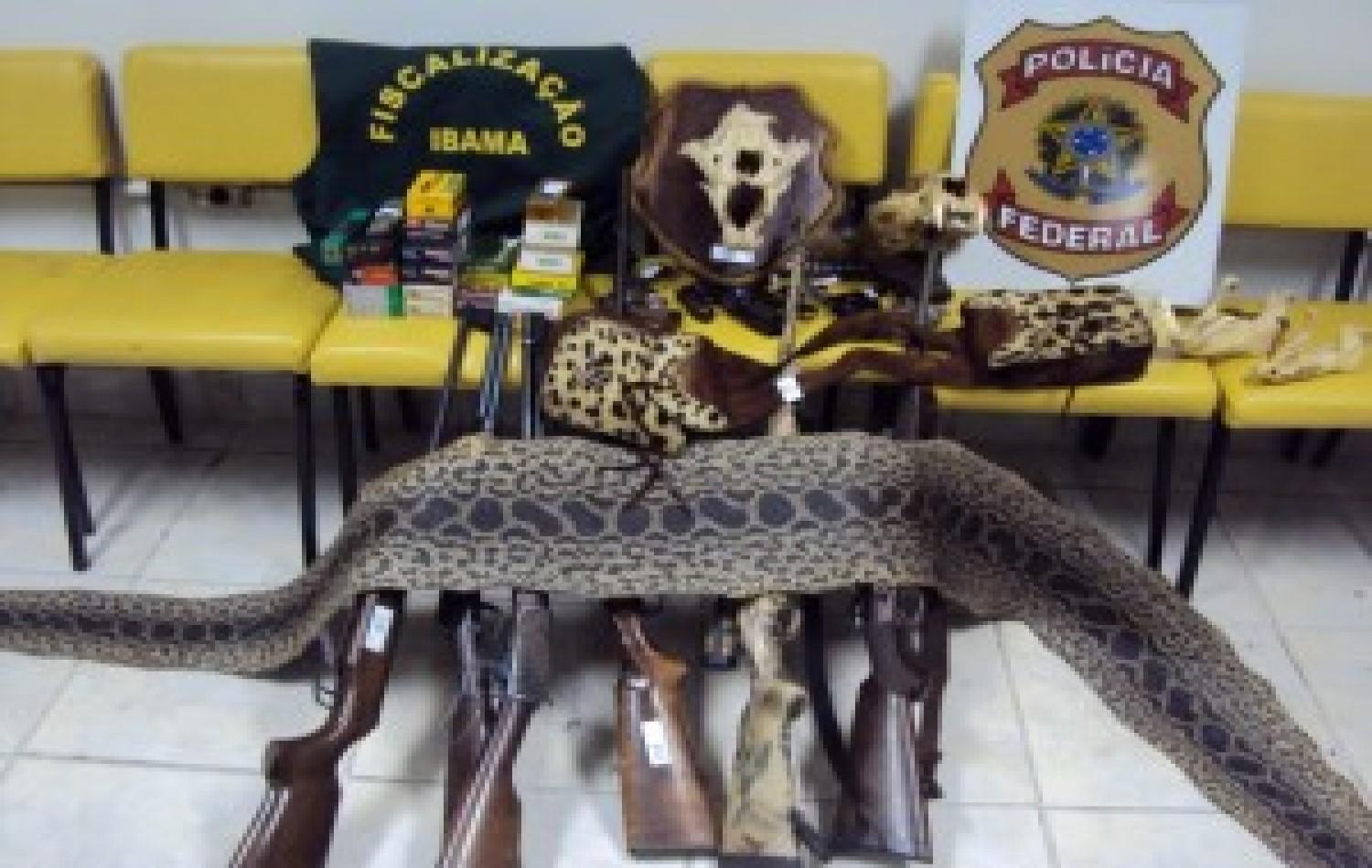 Pecuarista de MS paga R$ 110 mil por promover caça a onças