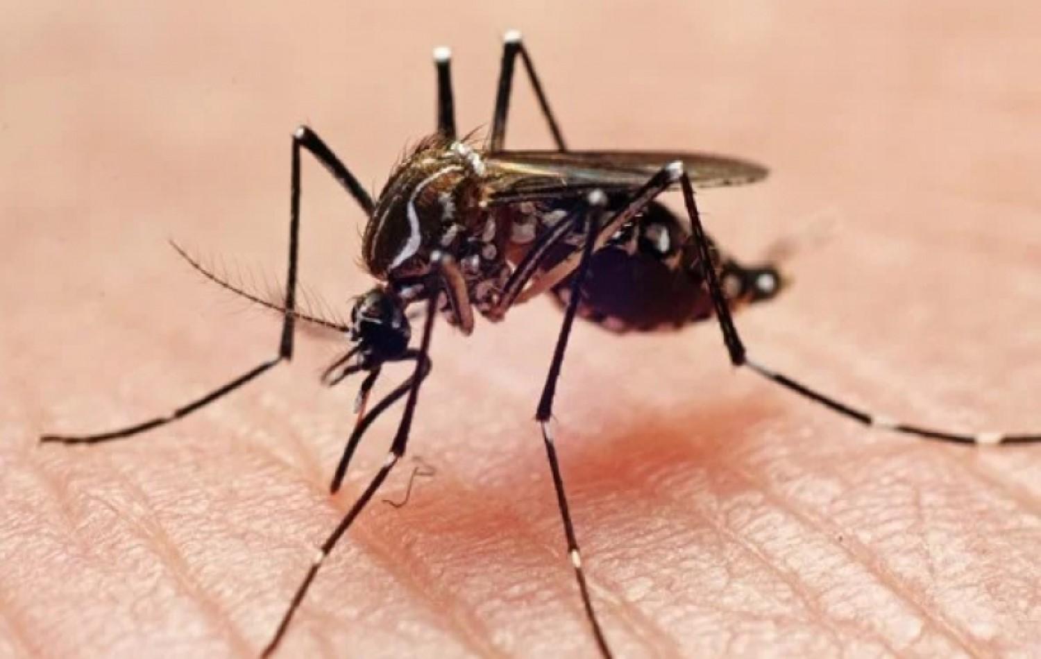 Com surto de dengue, Brasil já chega ao mesmo patamar de casos de 2021