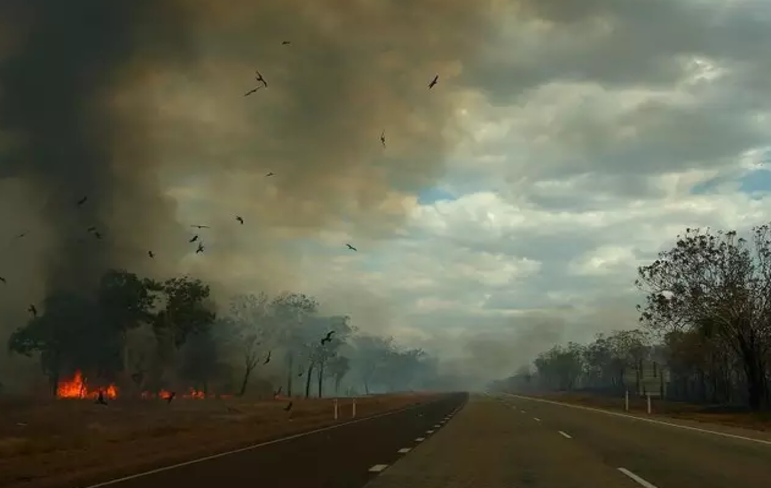 Perigo: fogo e fumaça nas estradas