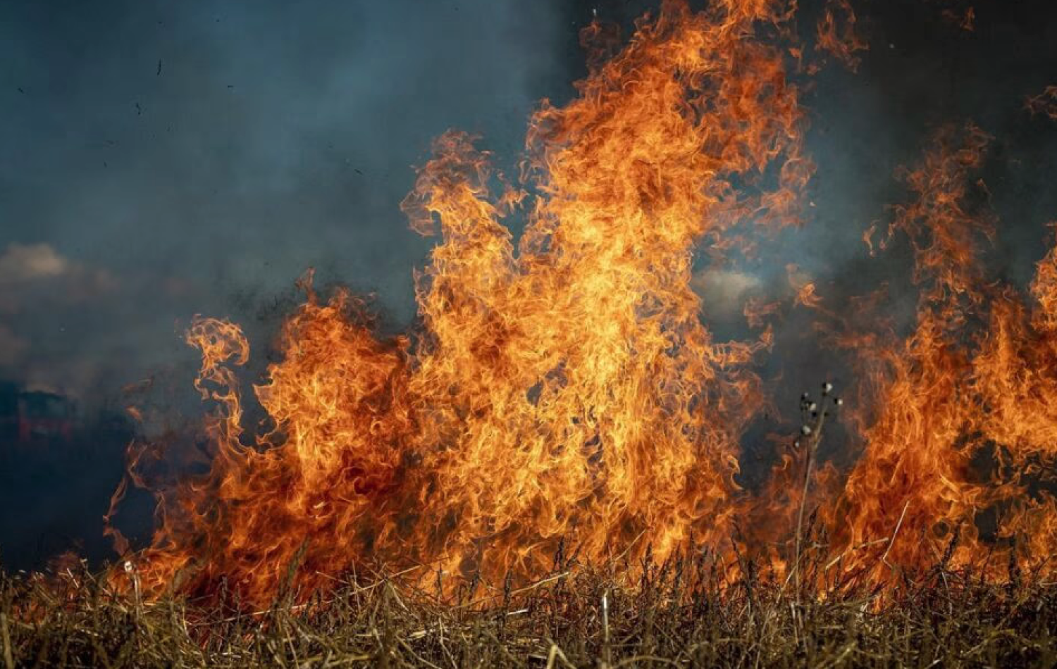 Incêndios provocados por onda de calor forçam retirada de moradores na Itália e na Grécia
