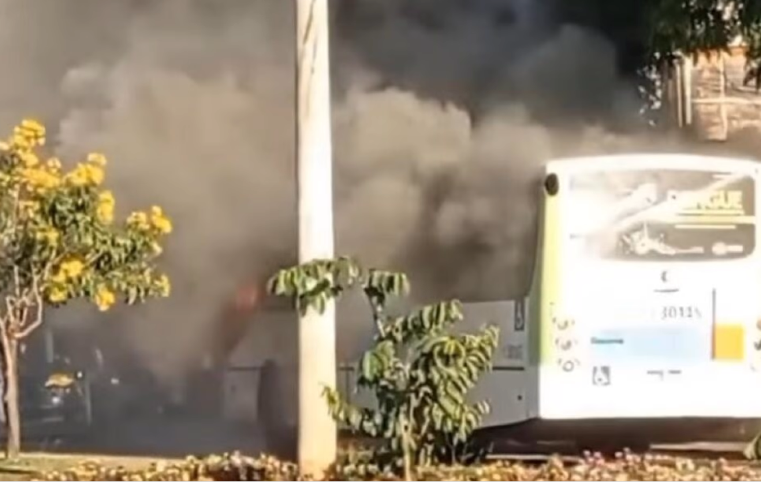 Ônibus do transporte coletivo pega fogo na Vila Mutirão, em Goiânia