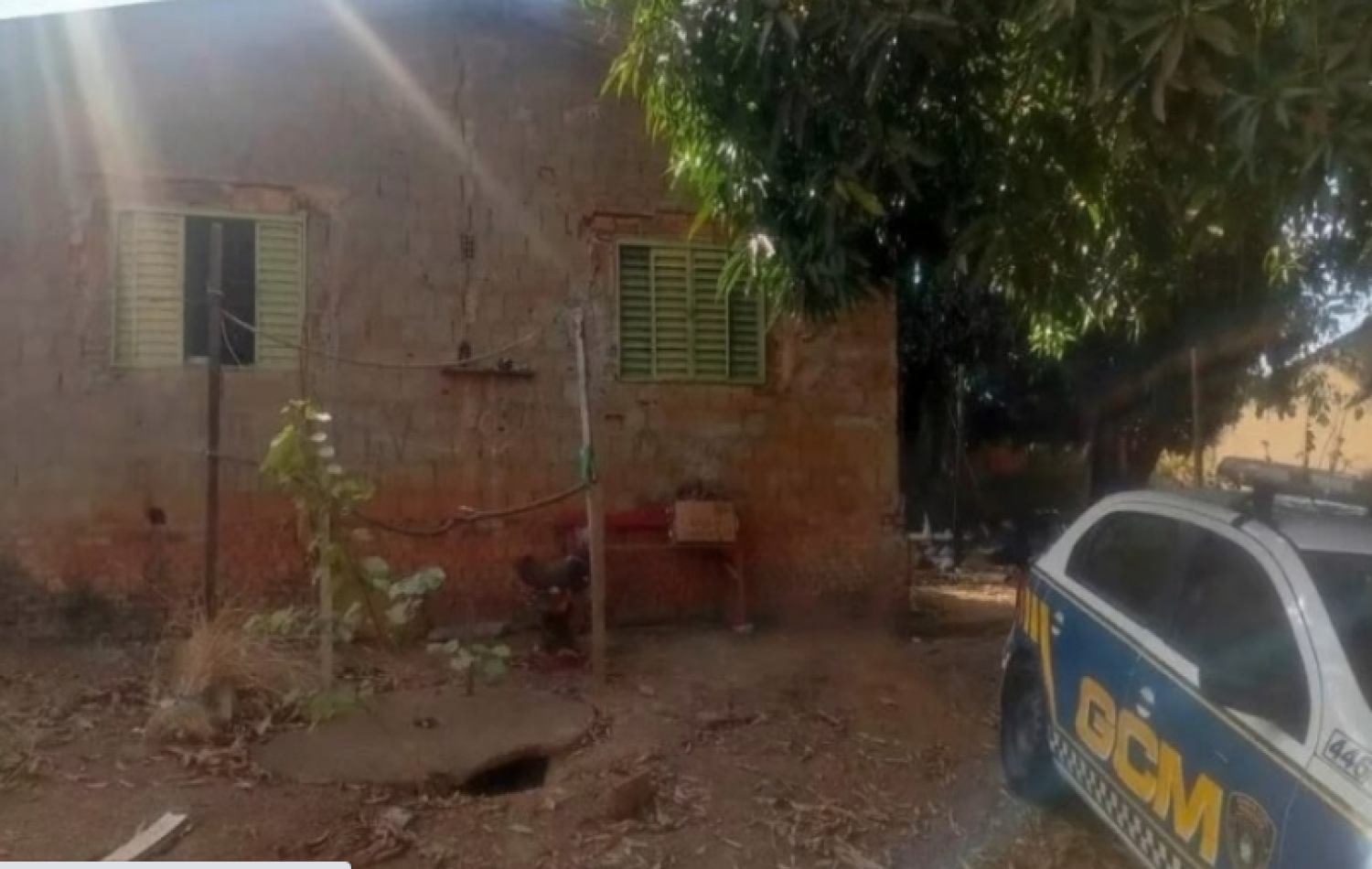 Homem é preso por matar cães para consumir a carne, em Aparecida (GO)