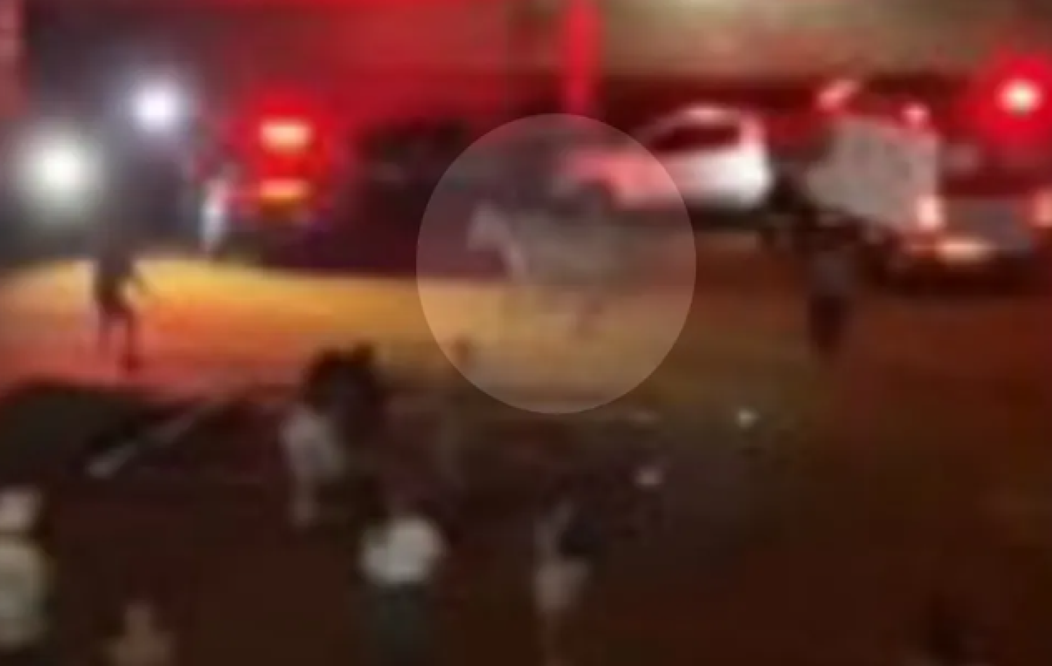 Bois escapam de cercado, assustam moradores e provocam correria durante a Festa do Peão