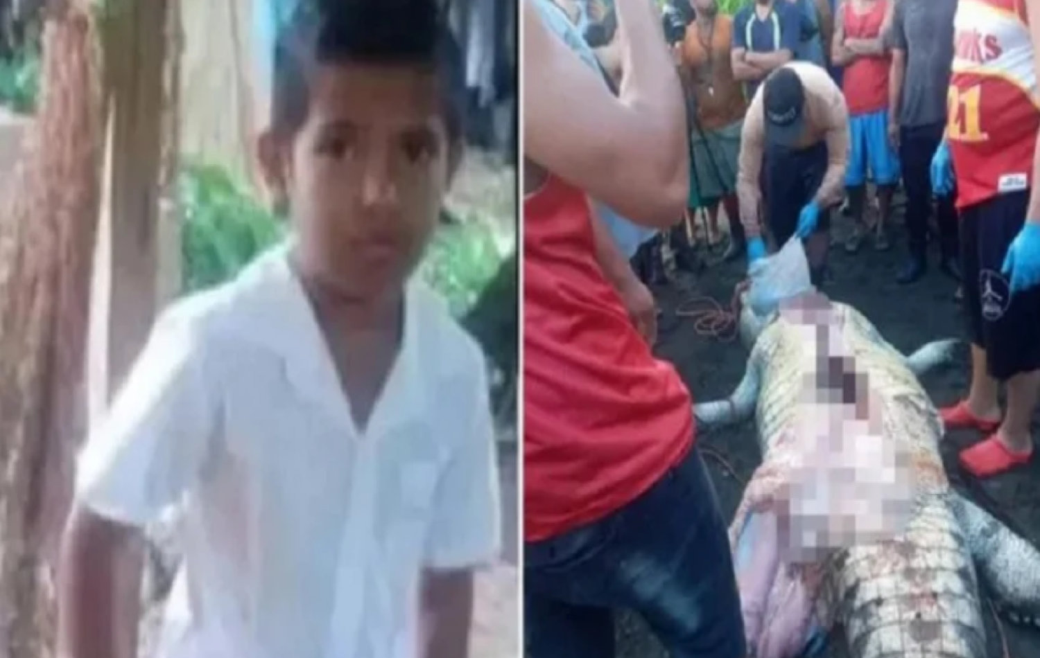Crocodilo mata e engole menino de 8 anos, no rio Matina, na cidade de Limon, na Costa Rica