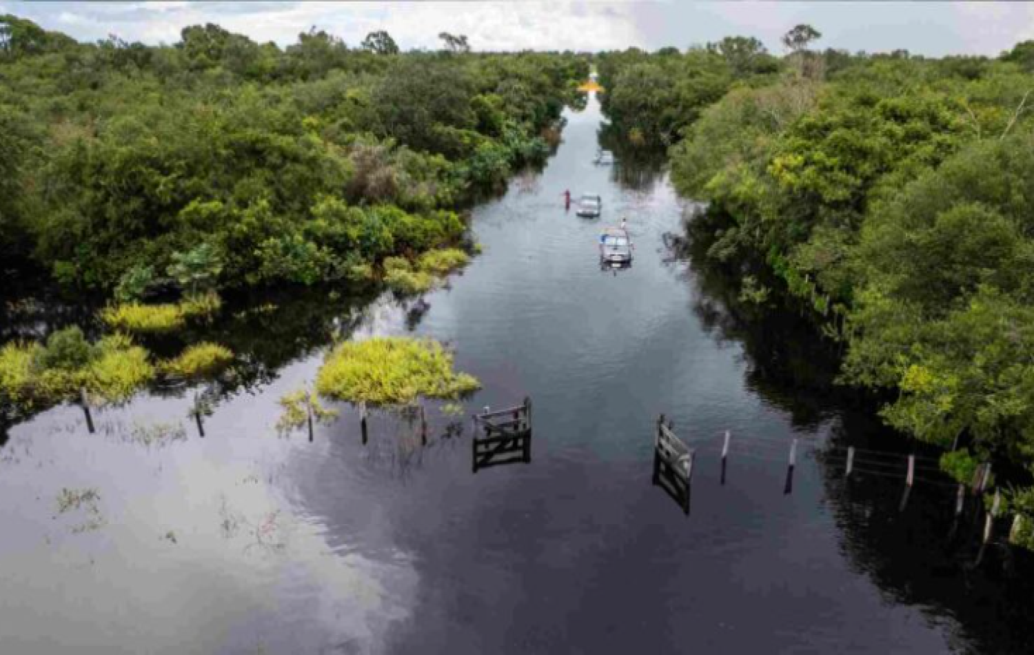 Após anos de estiagem, águas cobrem estradas e criam cenas de ‘tirar o fôlego’ no Pantanal