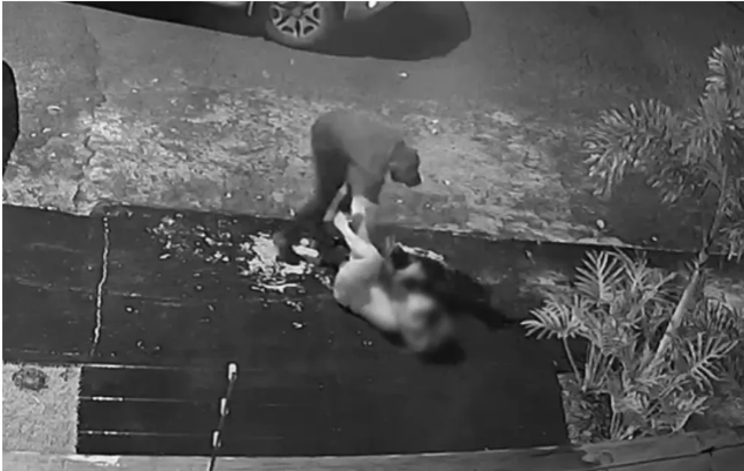 Ladrão agride mulher durante tentativa de roubo e volta à casa dela dois dias depois para tirar satisfação; em Jataí