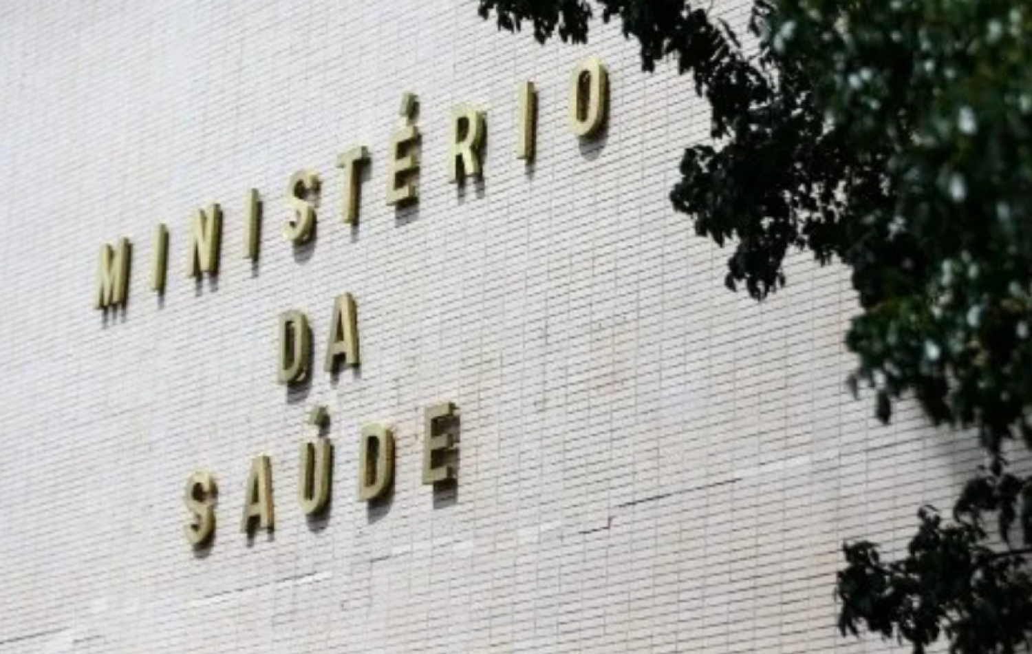 Ministério da Saúde apura suspeita de gripe aviária em humanos no Brasil