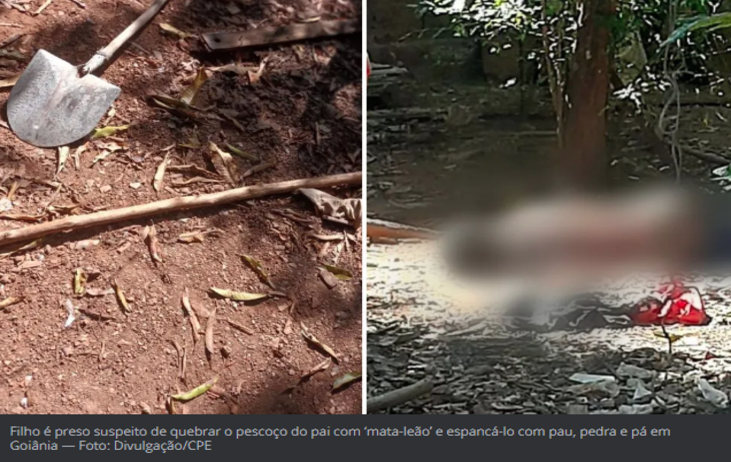 Filho é preso após matar o pai com ‘mata-leão’ e espancá-lo com pau e pedra, diz polícia