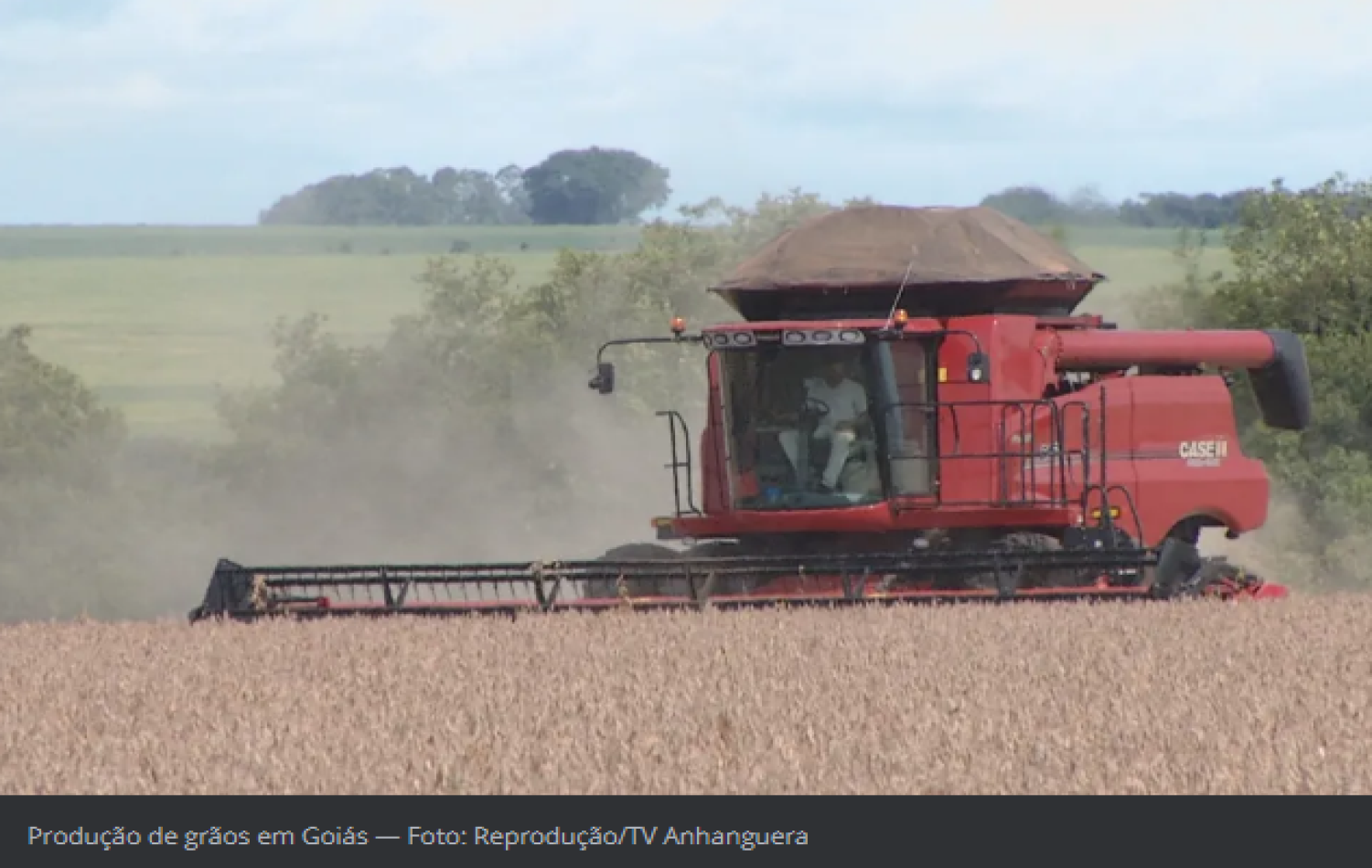 Goiás passa a ser o terceiro maior produtor de grãos do país, diz IBGE