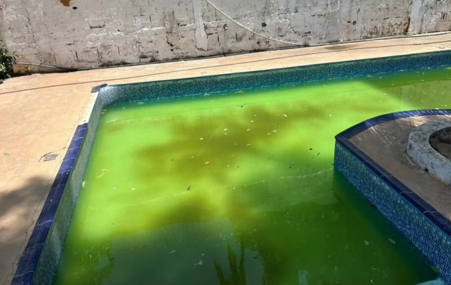 Aparecida: 75 internos são resgatados de clínica clandestina após maus-tratos e tortura em piscina com lodo