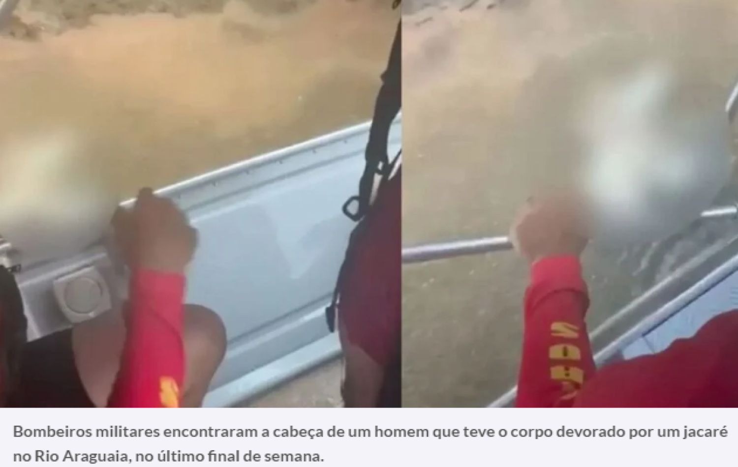 Bombeiros encontram cabeça de homem que teve o corpo devorado por jacaré no Rio Araguaia, em Goiás