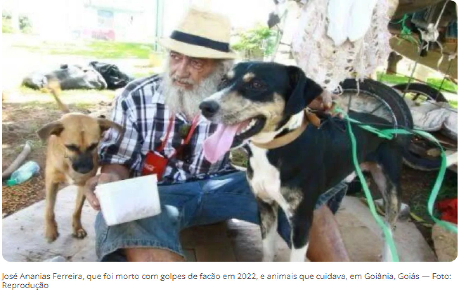 Pedreiro é condenado a mais de 18 anos de prisão por matar homem conhecido por cuidar de dezenas de cães e gatos