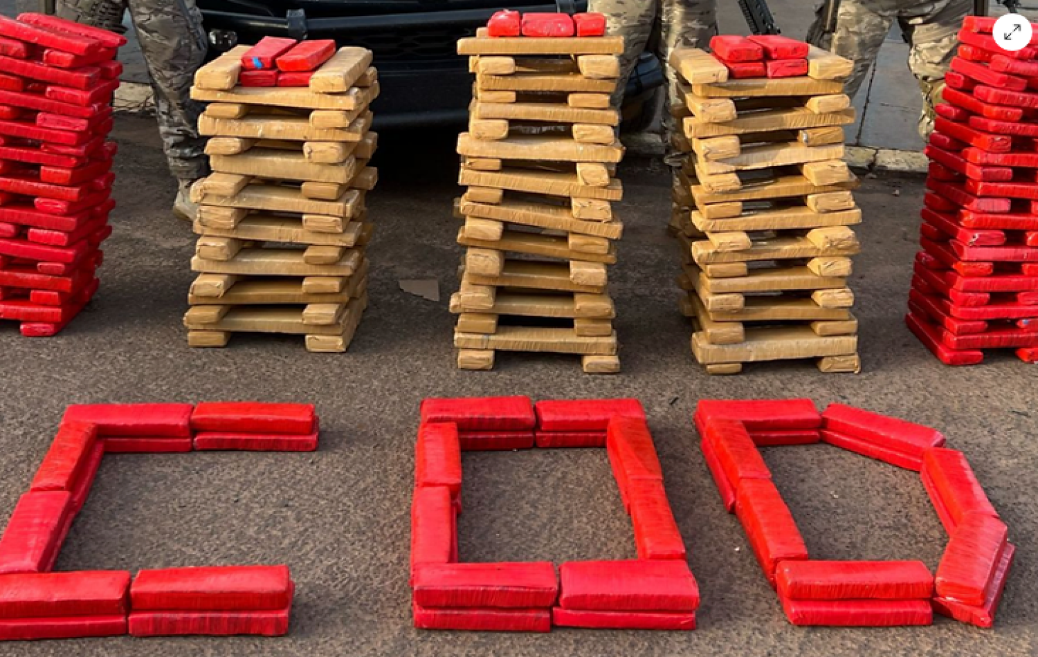 Polícia apreende mais de 270 kg de drogas que seriam distribuídas em Goiás e no DF