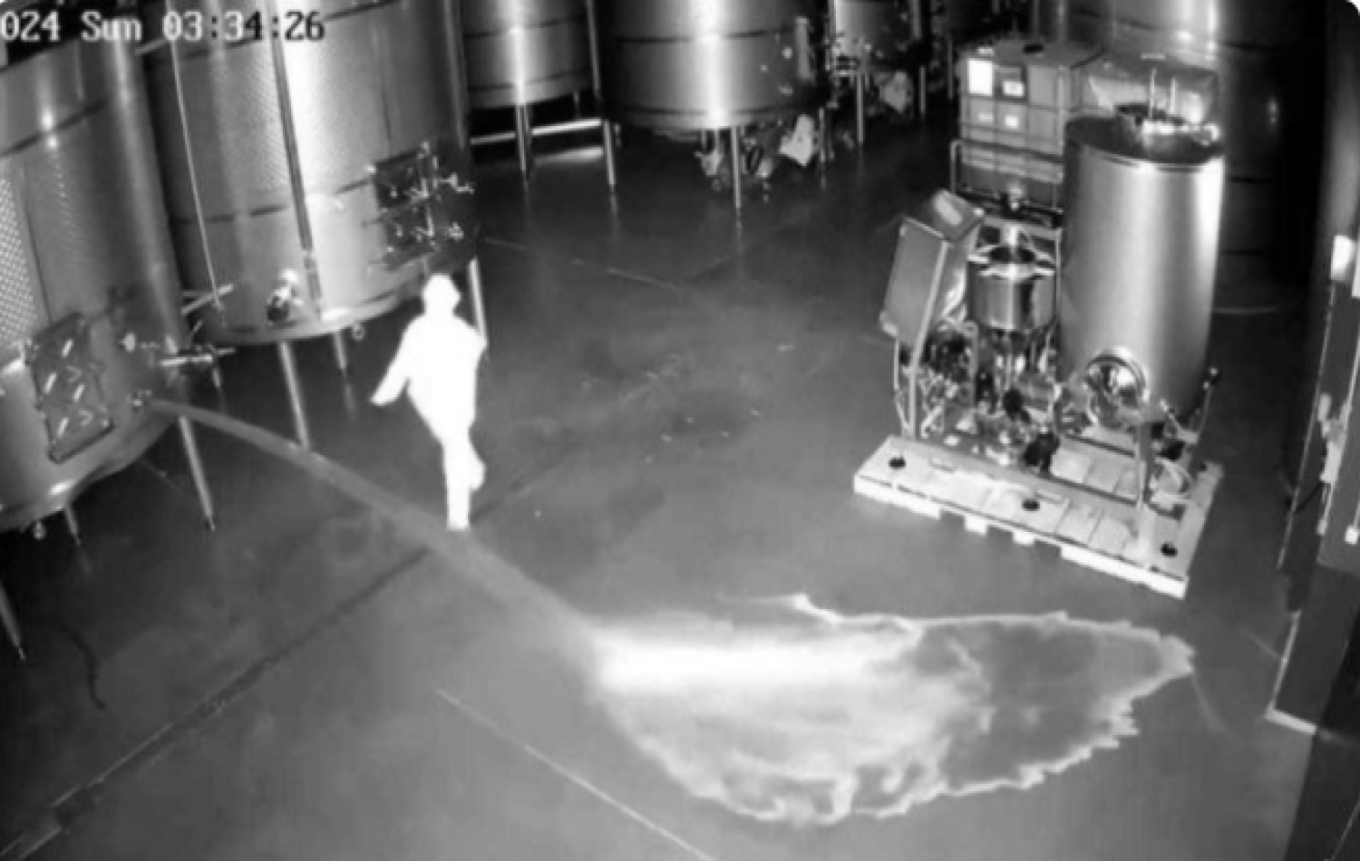 Mulher derrama R$ 13 milhões em vinhos para se vingar de demissão de adega